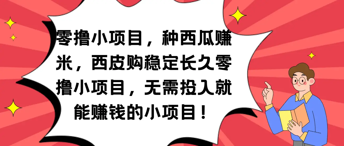种西瓜赚米，西皮购稳定长久零撸小项目