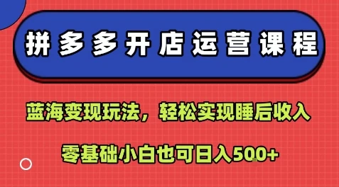 拼多多开店运营课程：蓝海变现玩法，轻松实现睡后收入，零基础小白也可日入5张