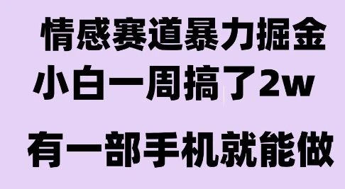 情感暴力掘金项目，新人操作一周挣了2W，长期稳定小白可做【揭秘】