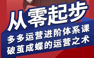 【精】拼多多运营进阶系统课，从零起步，多多运营进阶体系课，破茧成蝶的运营之术