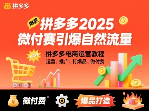【精】拼多多2025微付费引爆自然流量，拼多多电商运营教程，运营、推广、打爆品、微付费(更新)