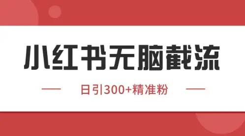 小红书只要你有同行就能获客，独家野路子获客玩法，暴力截流【揭秘】
