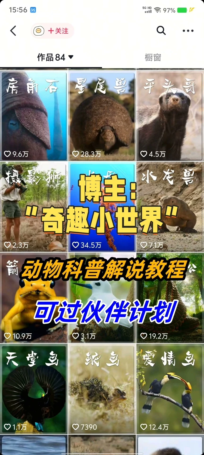 【精】奇趣小世界dy大v博主课程动物百科解说教程剪辑实操视频原创文案思路讲解