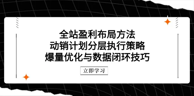 全站盈利布局方法：动销计划分层执行策略，爆量优化与数据闭环技巧