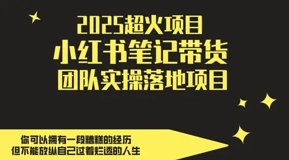 2025超火项目，副业最佳选择，小红书笔记带货团队实操落地项目，，轻松日入5张