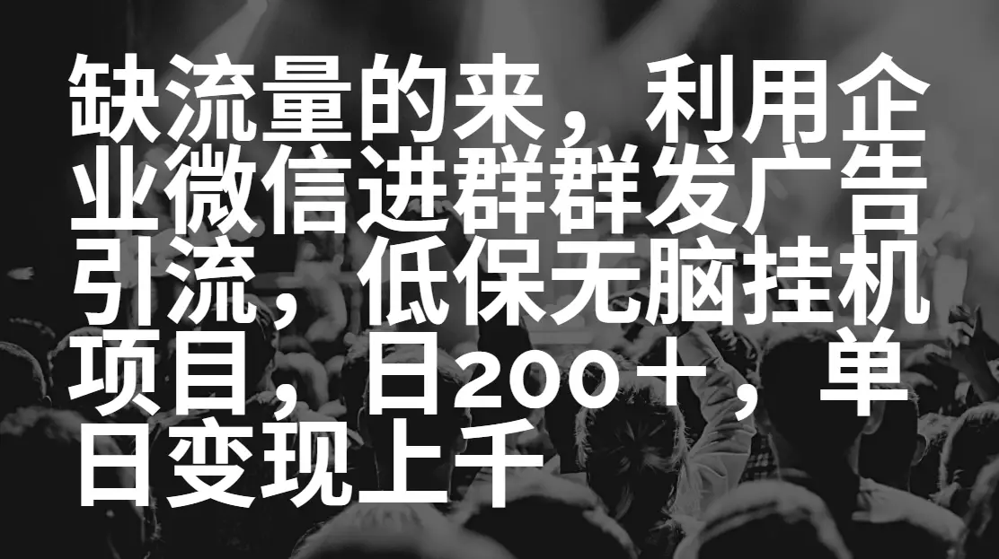 缺流量的来，低保无脑挂机项目，日引200➕，单日变现上千