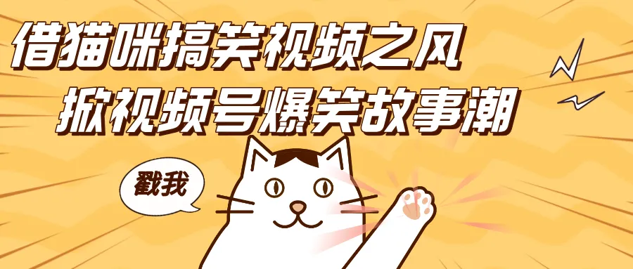 借猫咪搞笑视频之风，掀视频号爆笑故事潮，轻松日赚四位数，开启无门槛赚钱新体验！