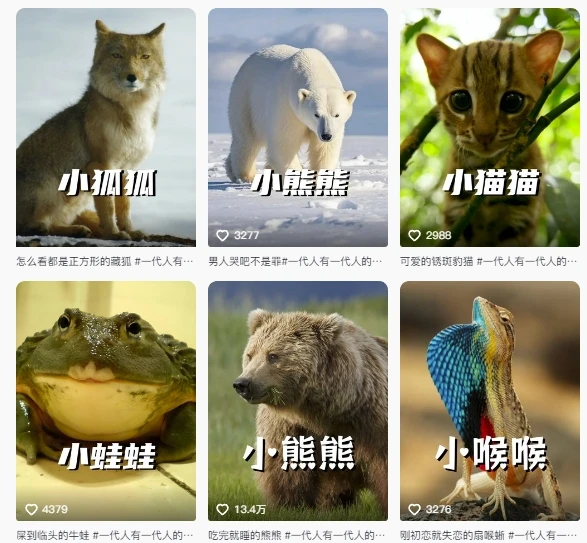 【精】最新搞笑动物百科详细解说课程，蓝海赛道，流量非常大，轻松签独家进精选
